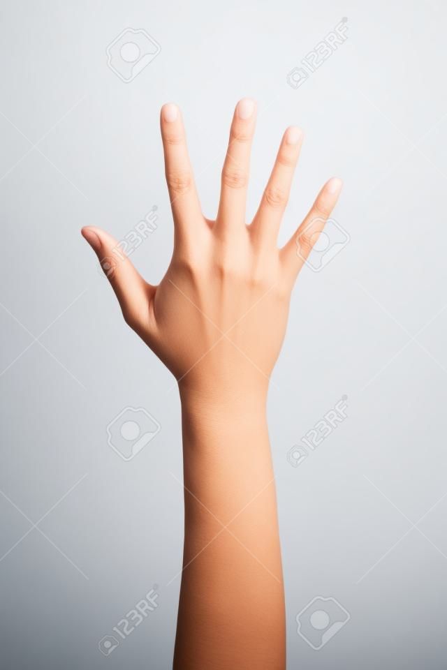 白い背景に分離した 5 本の指を示す女性手