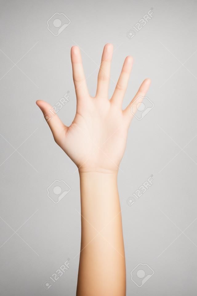 白い背景に分離した 5 本の指を示す女性手