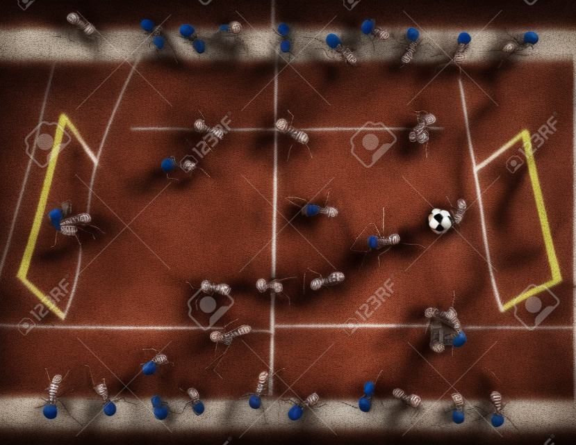 Football (soccer). Ants pièces de théâtre pour les gens non rédactionnel utilisation
