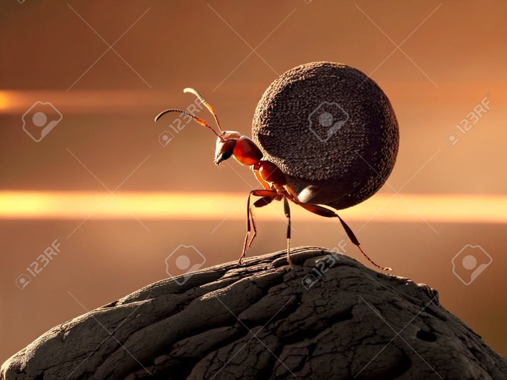 hormiga Sísifo rollos cuesta arriba en la montaña de piedra, concepto