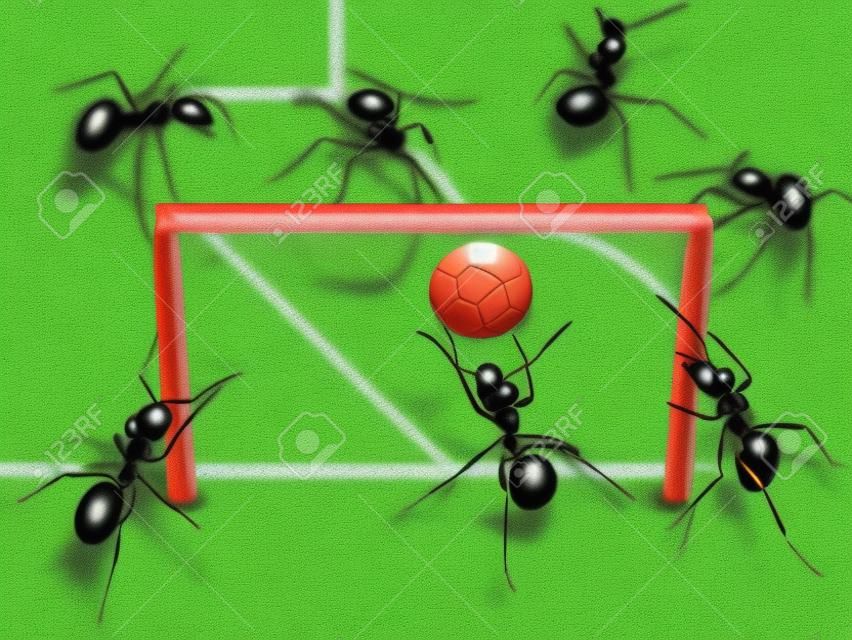 goal keeper in gate, team of ants play soccer