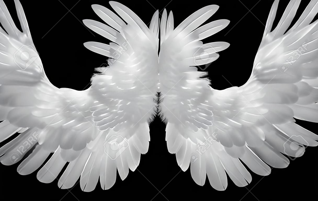 asas brancas no fundo preto