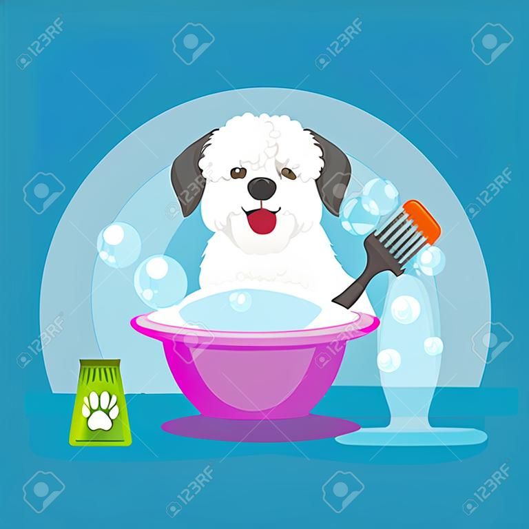 la higiene de pelo de perro. Ilustración vectorial Conjunto, preparación del animal doméstico y cuidado, corte de pelo