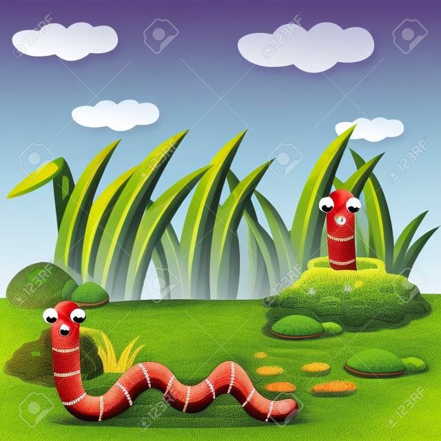 Illustrator of earthworm on garden