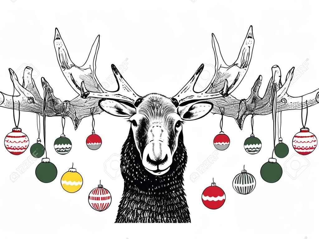 Engraçado Chrismas Moose cena ou cartão com ornamentos pendurados de antlers
