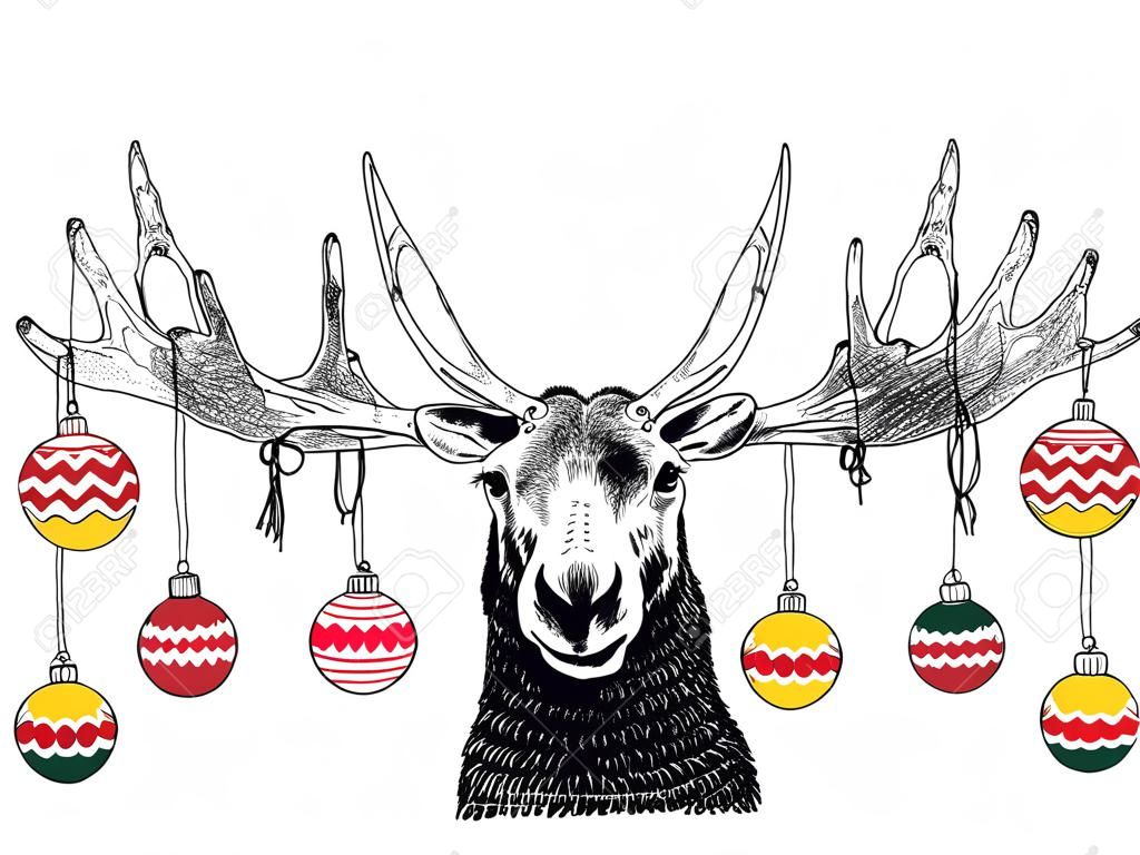 Funny Chrismas Moose scene or card with ornaments hanging from Antlers