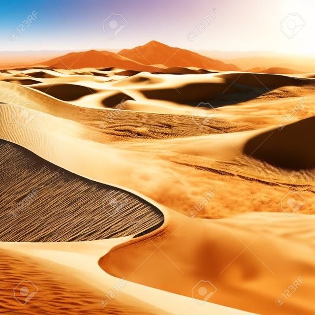 사막의 모래 언덕. 고품질 일러스트레이션