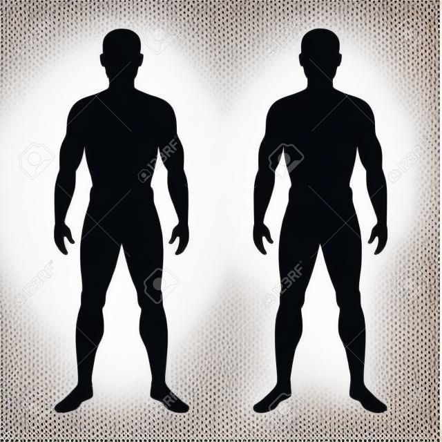 Sagoma e contorno del corpo umano maschile. Simboli da uomo isolati su sfondo bianco. Illustrazione vettoriale