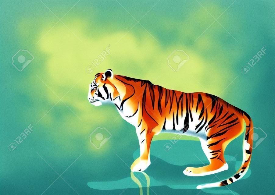 tigre et illustrations de l'eau