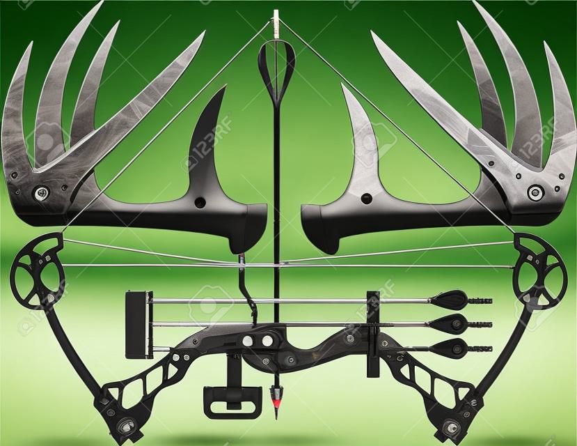 compound bow and hunting arrow