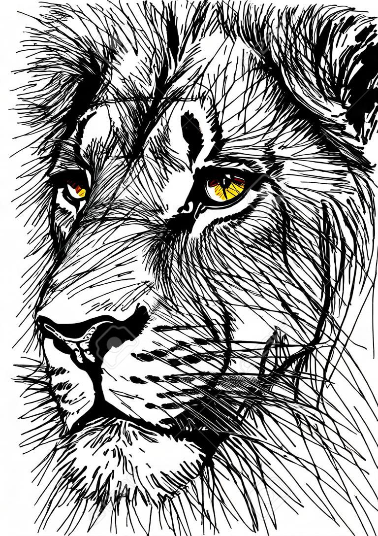 Hand drawn Sketch of a lion looking intently at the camera. 