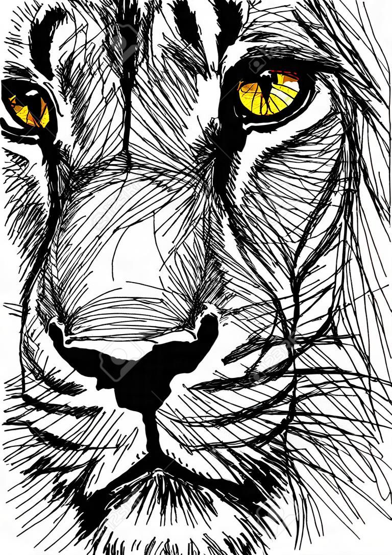 Hand drawn Sketch of a lion looking intently at the camera. 