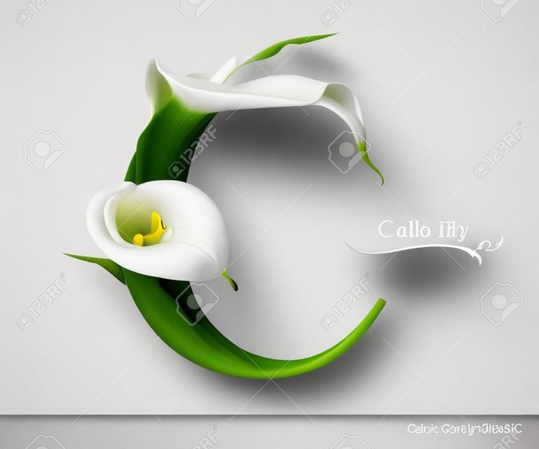 Буква C вектор алфавит с Калла цветок лилии. ABC типа концепции в качестве логотипа. дизайн Книгопечатание