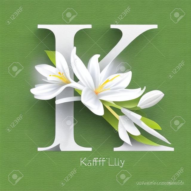 Letter K vector alfabet met kaffir lelie bloem. ABC concept type. Typografie ontwerp