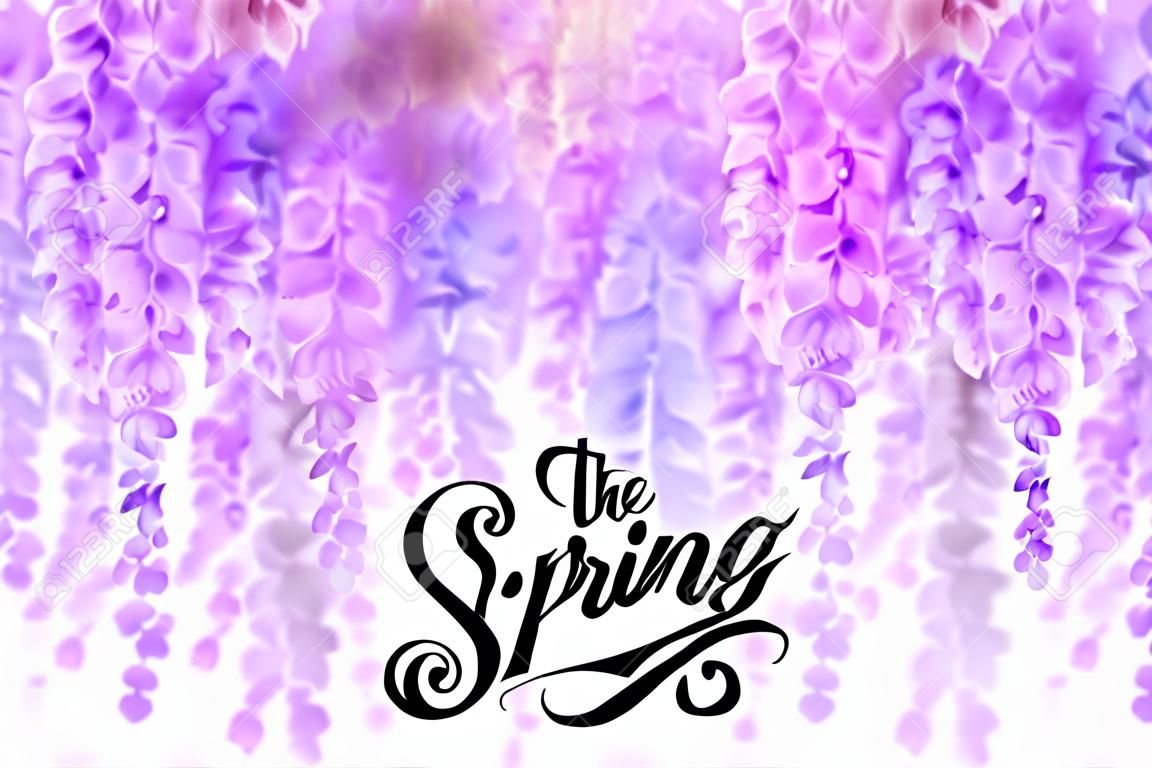 Advertisement about the spring sale on defocused with beautiful blooming wisteria illustration