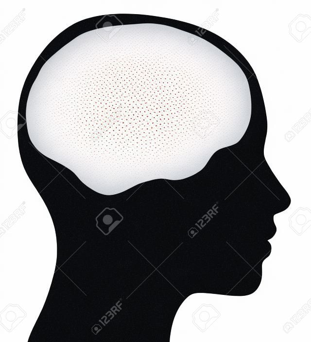 Un gráfico de una silueta de la cabeza femenina con un área del cerebro blanco aislado en un fondo blanco sólido