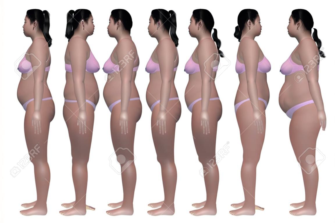 A oldalnézetből illusztráció egy túlsúlyos nő