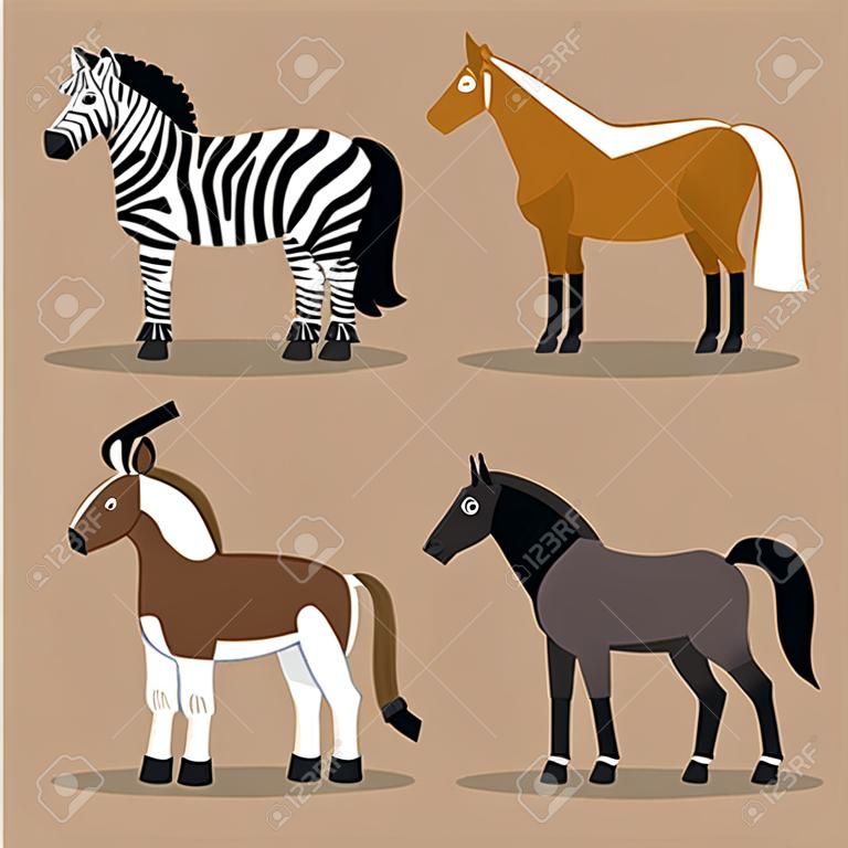 不同品种的马、斑马、小马和驴