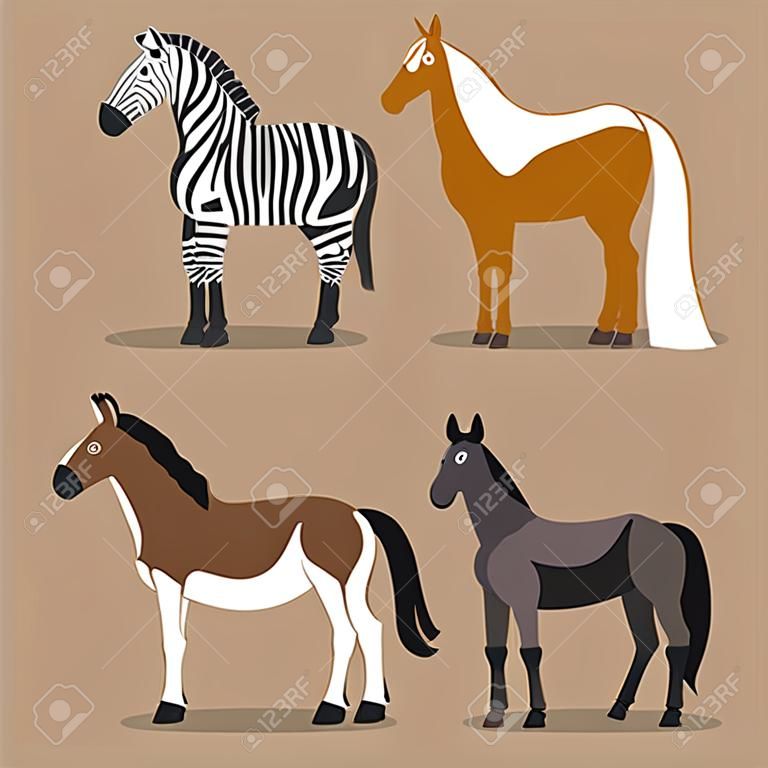 不同品种的马、斑马、小马和驴