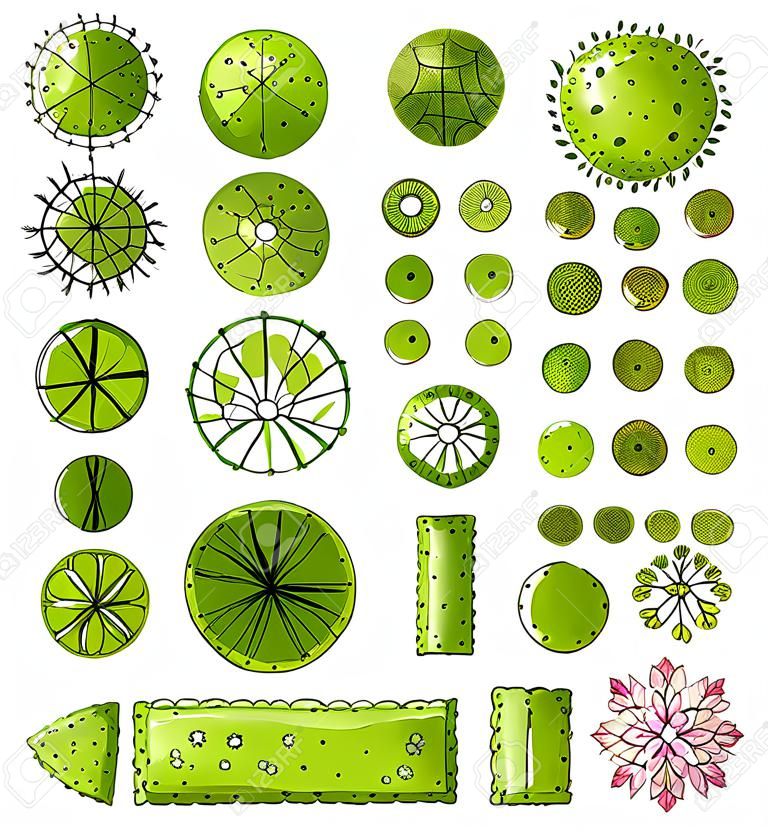 conjunto de símbolos de copas de los árboles, para el diseño arquitectónico o del paisaje.