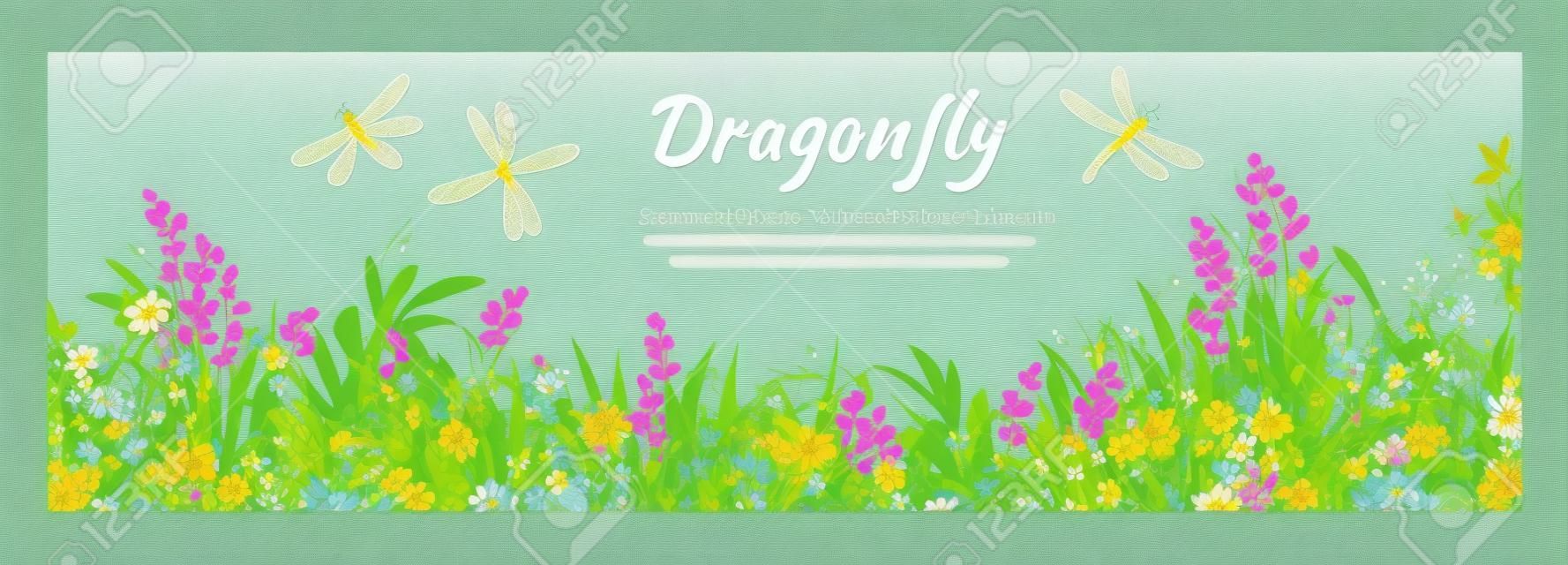 Vector vertical border with dragonflies, flowers, grass and plants. Summer style. Floral background.