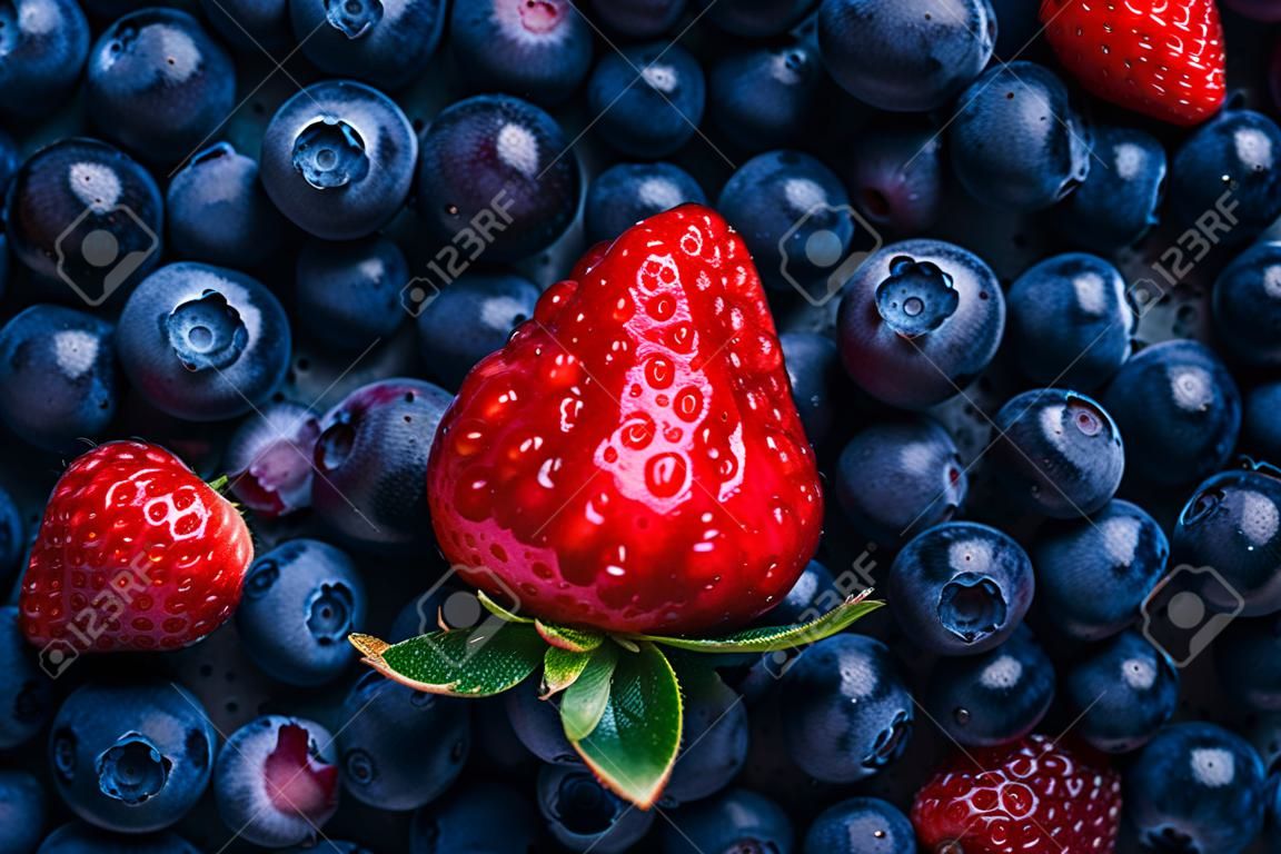 Arándano y fresa, bayas ricas en antioxidantes, vitaminas, de cerca
