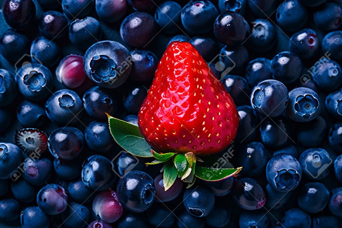 Arándano y fresa, bayas ricas en antioxidantes, vitaminas, de cerca