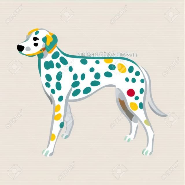 Cute dog Dalmatinac breed pedigree vector illustration