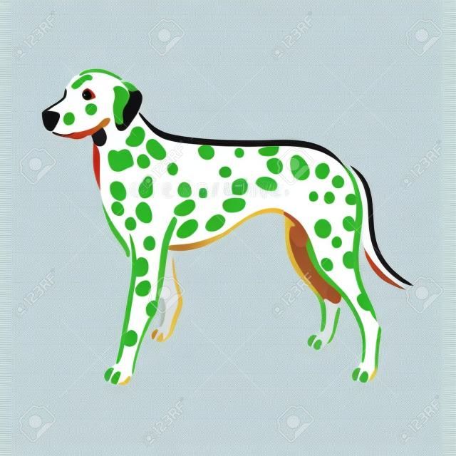 Cute dog Dalmatinac breed pedigree vector illustration