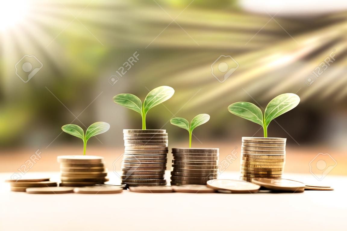 Drzewo rosnące na stosie monet i wykresów monet pomysłów pieniędzy i wzrostu finansowego.