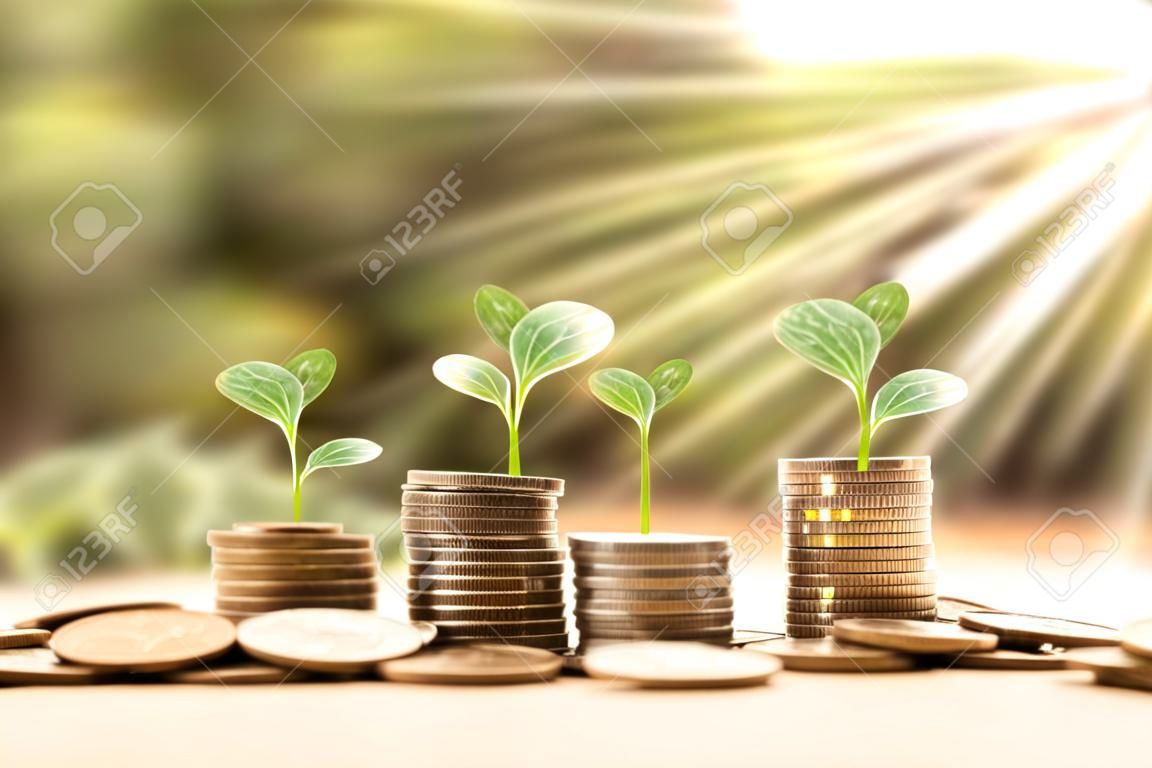 Drzewo rosnące na stosie monet i wykresów monet pomysłów pieniędzy i wzrostu finansowego.