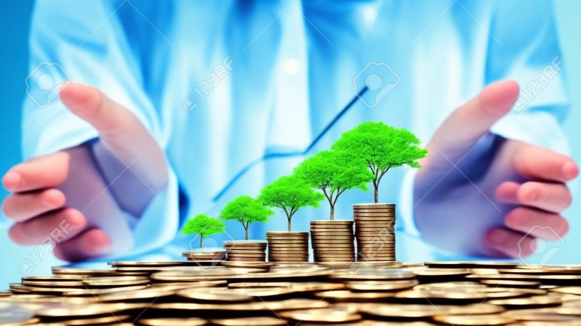Tree growing on piles of money and graph showing business growth ideas to maximize profits from business investments.