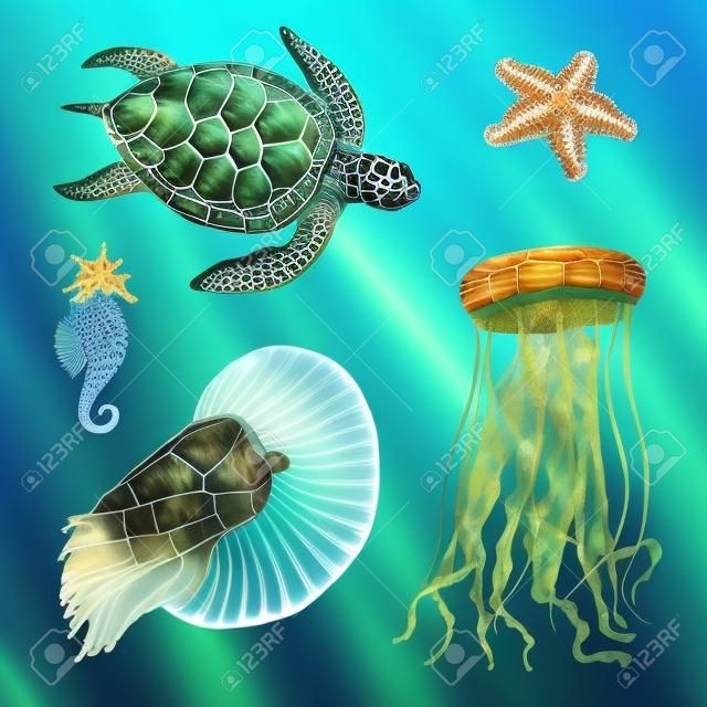 sea creature cheloniidae or green turtle and seahorse. nautilus pompilius, jellyfish and starfish or mollusk.
