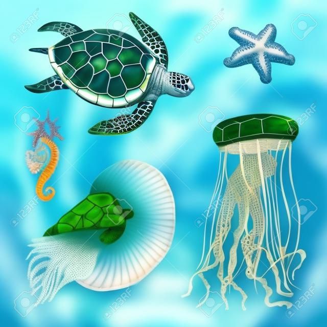 sea creature cheloniidae or green turtle and seahorse. nautilus pompilius, jellyfish and starfish or mollusk.