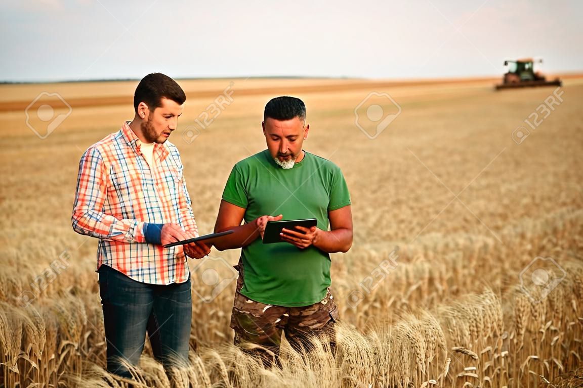 Due agricoltori stanno in un campo di stoppie di grano, discutono del raccolto, dei raccolti. L'agronomo senior con tablet pc touch insegna al giovane collaboratore. Tecnologia innovativa. Agricoltura di precisione con gestione dati online soft.