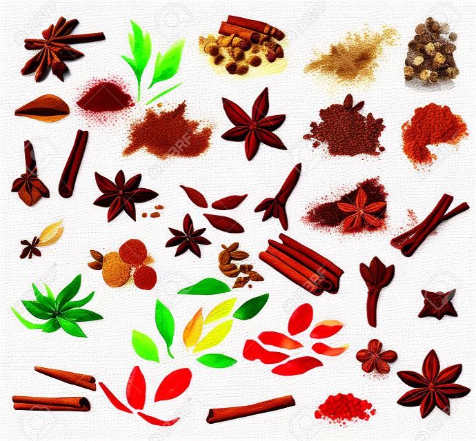水彩香料将各种香料作为肉桂、茴香、肉豆蔻、香草和更多的褐色艺术