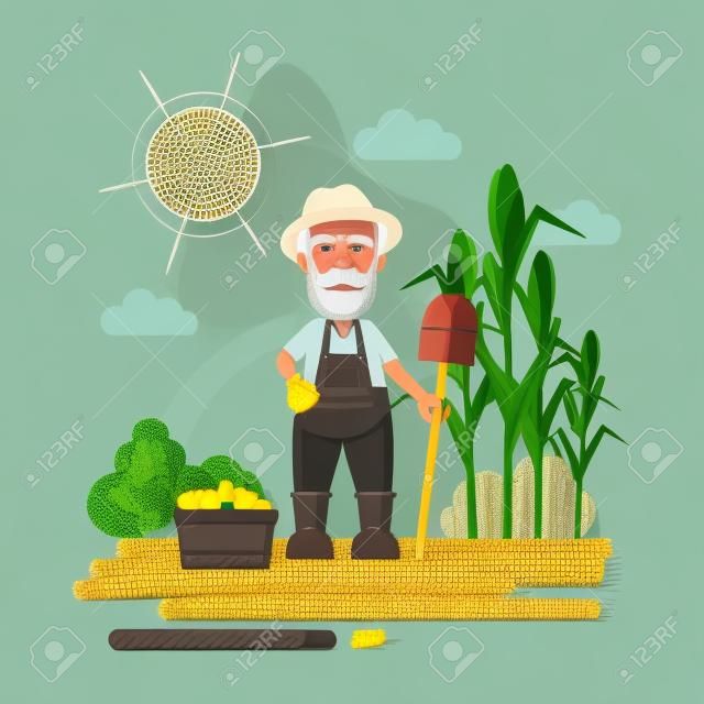Boer met oogst. Groen landschap met maïs en mand met groenten. Oude man met grijs haar en baard.