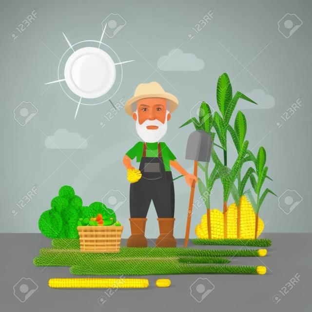 Farmer with harvest. Green landscape with corn and basket with vegetables. Old man with grey hair and beard.
