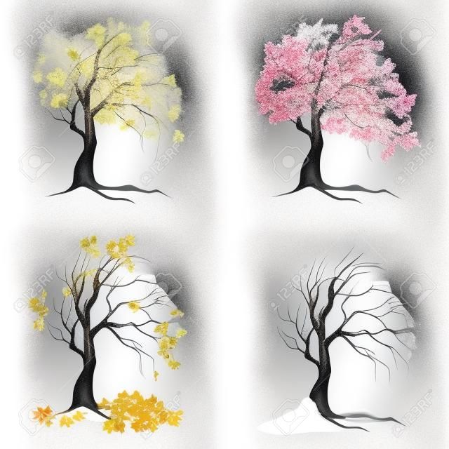 在白色背景的四棵季節樹。夏天，春天，秋天和冬天。