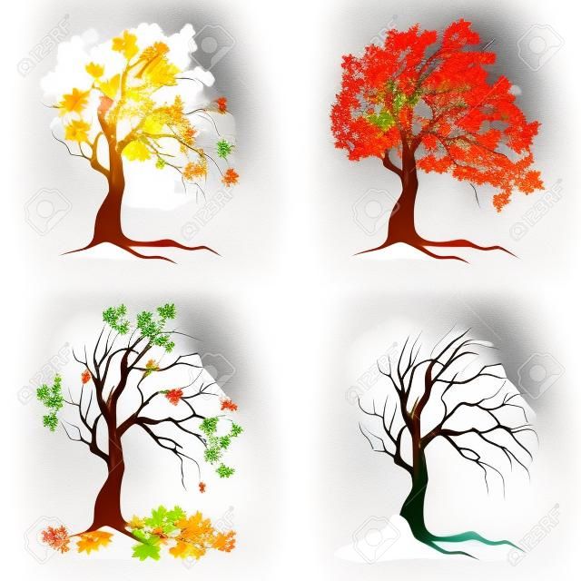 在白色背景的四棵季節樹。夏天，春天，秋天和冬天。