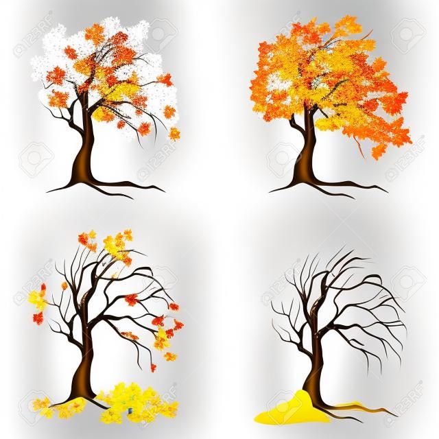 Quattro alberi di stagioni su priorità bassa bianca. Estate, primavera, autunno e inverno.
