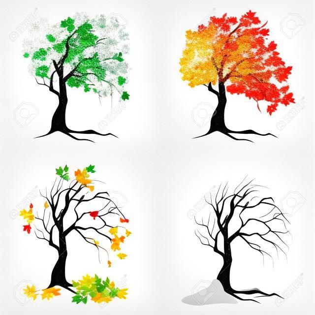 Beyaz zemin üzerine dört mevsim ağaçları. Yaz, ilkbahar, sonbahar ve kış.