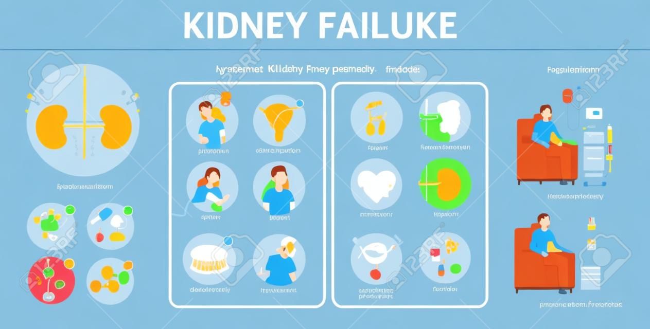 Kidney failure infographic. Symptoms, causes, prevention and treatment. Idea of medical treatment. Urology, internal human organ. Healthy body. Vector illustration in cartoon style