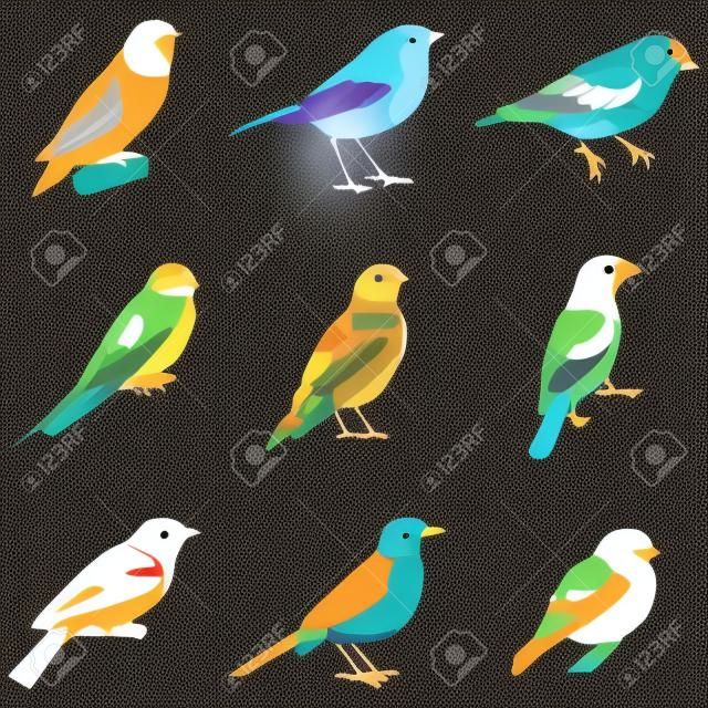 Una ilustración vectorial de diferentes tipos de pájaros