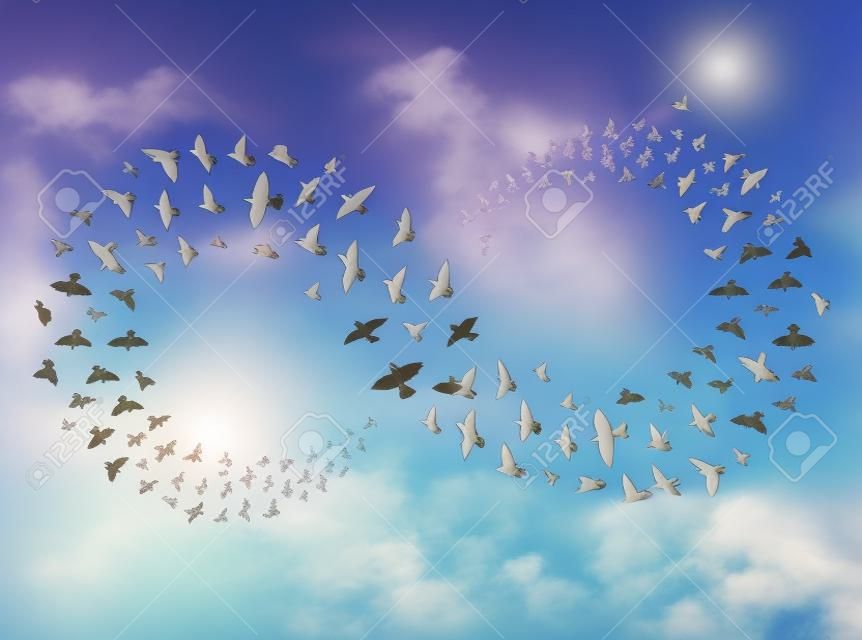 Flock of birds flying in a form of infinity.