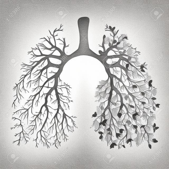Ludzkie płuca. Układ oddechowy. Zdrowe płuca. Światło w formie drzewa. Grafika liniowa. Rysowanie ręczne. Medycyna.