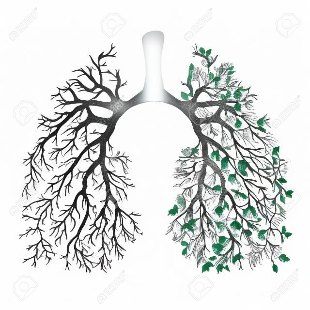 Ludzkie płuca. Układ oddechowy. Zdrowe płuca. Światło w formie drzewa. Grafika liniowa. Rysowanie ręczne. Medycyna.