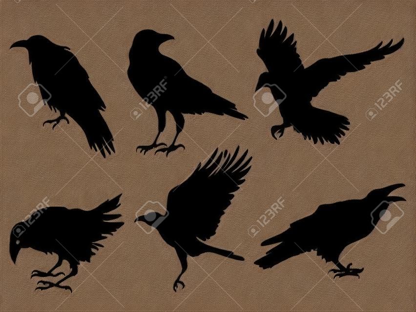 Set raven. Een verzameling zwarte kraaien. Silhouet van een vliegende kraai. Vector illustratie van raven silhouet. Grunge vogel tattoo.