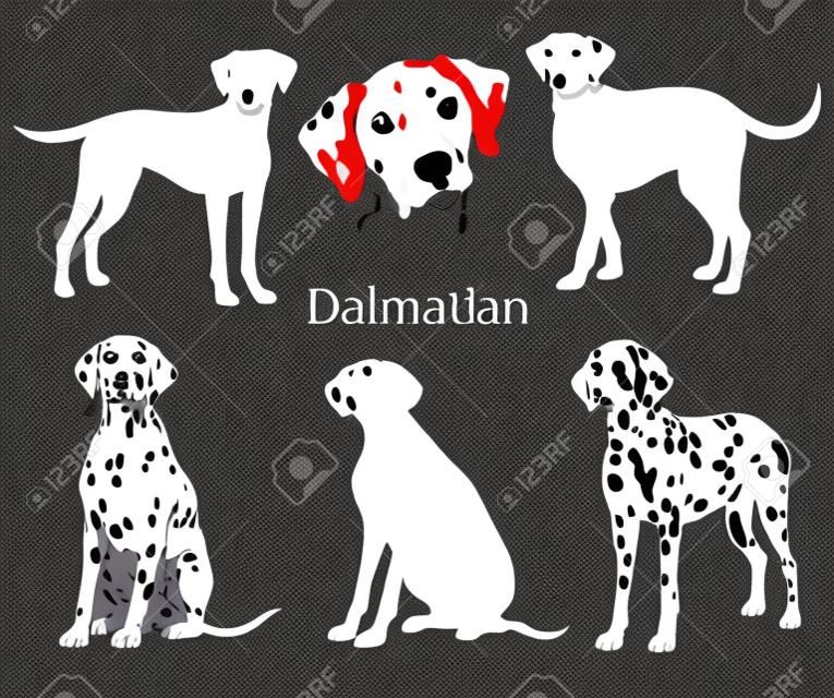 Dalmatian set. Collection of pedigree dogs. Black white illustration of a dalmatian dog. Vector drawing of a pet. Tattoo.