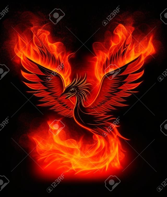 Illustration of Fire burning Phoenix Bird with black background